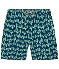 TOM & TEDDY TURTLE SWIMMERS-swimmers-Digbys Menswear