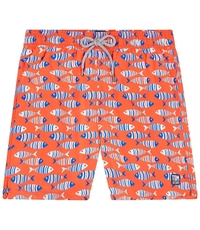 TOM & TEDDY FISH SWIMMER-swimmers-Digbys Menswear